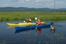 canoe